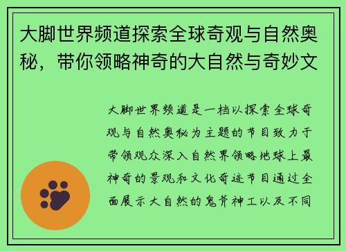 大脚世界频道探索全球奇观与自然奥秘，带你领略神奇的大自然与奇妙文化